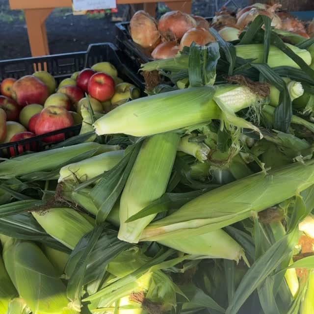 Happy Labor Day weekend!!!! Make sure to stop by and visit us today at the Corner Farm to make your Labor Day even sweeter!!! #firewood #summer #fyp #farmstand #jersey #watermelon #corn #tomatoes #labordayweekend