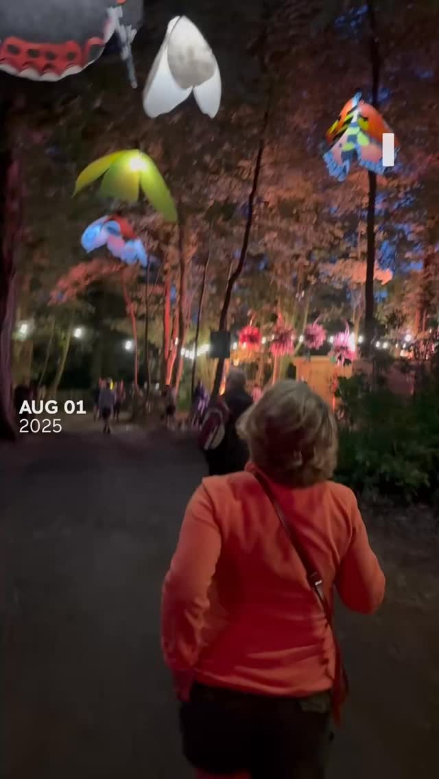 š» Noticing Nature video project, August!
āŗļøšµ I started the month by attending my very first music festival All Together Now - that deserves its own post š
š The theme of āall together nowā was with me all month, with lots of social meetings ups outdoors and a real sense of connection to myself, others and the natural world all around us.
š Feeling grounded and supported by nature and friendships, I now step into September.
šæ I hope your relationship with the rest of nature has deepened over the summer too!  #healingwithnature