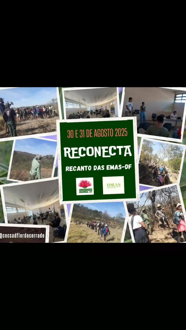 🌿 Um dia memorável no Reconecta Recanto das Emas-DF! Agradecemos imensamente a cada pessoa da comunidade e a quem veio de longe para se juntar a nós.
Este evento nos provou, mais uma vez, o poder dos espaços de diálogo e conexão. Ocupar nossas áreas verdes e parques não só nos devolve o sentimento de pertencimento, como também mostra que a participação de todos, através da consulta pública, é essencial para a construção de políticas publicas realmente eficazes.
O CECSA-DF se sente realizado por ter incentivado novas conexões e por ter compartilhado este dia com vocês.
É juntos que construímos um futuro mais positivo para o Distrito Federal.
#CECSADF #RECONECTADF