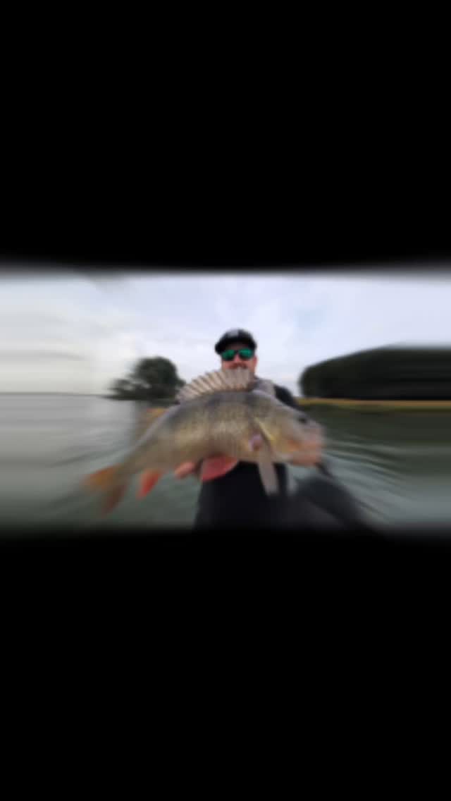 Volgens mij levert #SPRO de RK Crawler inclusief dikke baarzen😎.
#proventocatch
#yamahaprofishing #batterylabs #stcroixrods #hollandsdiep #lurefishingguide #ufxfishing #shimanoreels