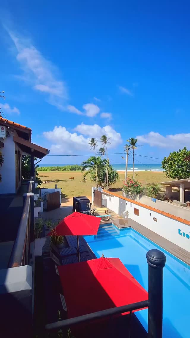 🌊 Every stay at Lion’s Rest tells its own story — the waves you caught, the sunsets you watched, the laughter you shared.
The 2025/26 season is already filling up… and your next chapter is waiting. ✨
📅 Don’t wait too long — we’d love to welcome you back.
#lionsrest #gurubebila #weligama #surfsouthsrilanka #srilankatravel #midigama #surffamily #weligamasurf #familysurftrip #familysurfco #slroaming #travelsrilanka🇱🇰