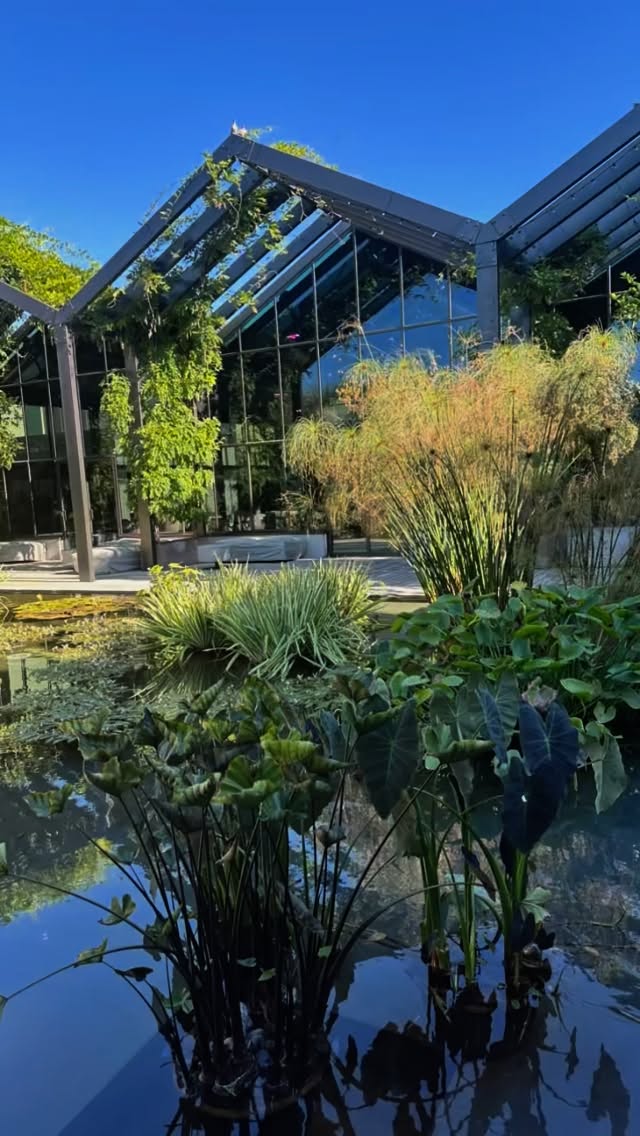 🌿 At Salon 241, we care about what goes into the products we use on your hair — and the impact those choices have on our planet. 🌍💚
Our team recently visited the Rodale Institute Organic Regenerative Center in Europe and the Davines Village. We learned how regenerative farming and sustainable practices are shaping the future of healthy beauty products. ✨
By choosing Davines, you’re not only treating yourself to high-quality haircare, but also supporting farming and production methods that are better for the earth. 🌱💇♀️
Thank you for letting us bring this kind of beauty to you — healthy for you, healthy for the planet. 💛
✨ Next time you’re in the salon, ask us about our sustainable product choices — we’d love to share what makes them so special!#parmaitaly#davines #davinesproducts #davinesvillage #northamptonma #westernmass #queerownedbusiness #davinescolor