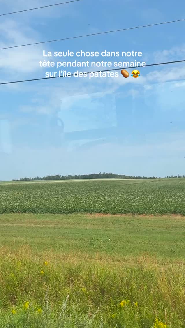Je pouvais pas m’empêcher de faire ce montage parce que, croyez-nous, on en a manger des patates de l’Ile-du-Prince-Édouard en une seule semaine 🤭🥔🍟 #potatoes #patates #willywaller2006 #PEI #potatotiktok