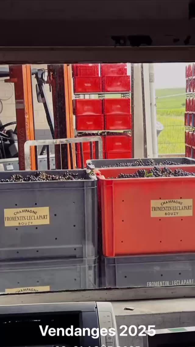 Les vendanges 2025 se sont ouvertes lundi 25 août à Bouzy.
Elles se sont achevées hier, sous un ciel clair et des grappes généreuses.
Merci aux mains patientes et au temps qui fait son œuvre.
Le fruit rejoint désormais la cuverie, première étape avant la cave, où commencera une nouvelle histoire.
—
The 2025 harvest began on Monday, August 25th in Bouzy.
It came to an end yesterday, under clear skies and with generous clusters.
Gratitude to the patient hands and to time itself.
The fruit now enters the cuverie, the first step before the cellar, where a new story begins.
#Champagne #Bouzy #Vendanges2025 #FromentinLeclapart #Tradition #Terroir