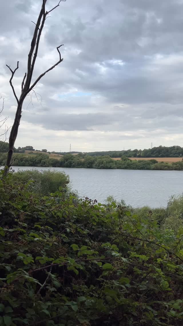 Such a great view!
#videography #photographer #nature #lake #photography