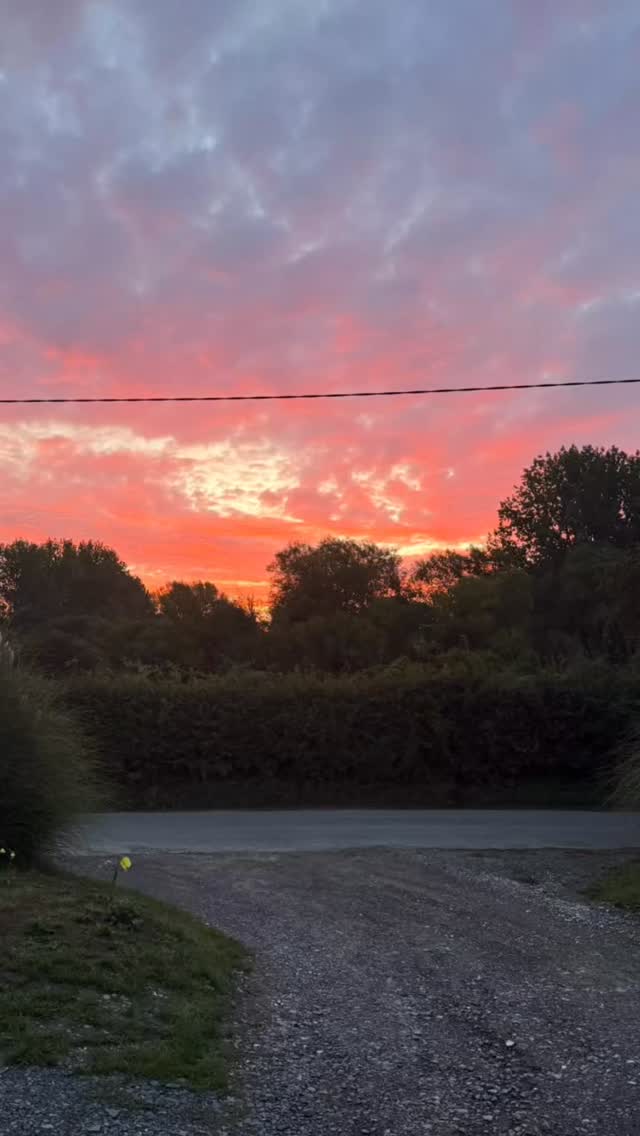 ALRESFORD SHOW 2025
A fantastic day catering in the members club. Ringside action and a lot of food and drink action! We fed and watered 400 and it was a spectacular day in the sunshine. Well done team Martha for bringing the energy.
So nice to see so many friends x