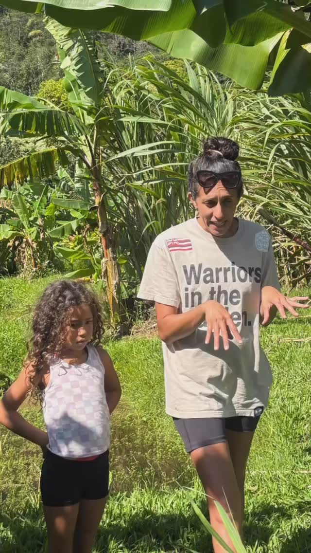 This is what real education looks like.
When you have teachers who bring their passions to an outdoor class without walls, something incredible happens—the next generation begins to understand the true depth of learning.
We don’t push papers. We don’t hand out worksheets. We don’t even crack open traditional textbooks. Because our curriculum? Life itself.
Education is not a checklist—it’s in the mud as we tend the lo‘i. It’s in the steady hands learning knife skills for carving and foraging. It’s in the spark that starts a fire the old way, and in the creativity that flows when keiki see that learning can be playful, challenging, and full of meaning.
When we multiply that by teachers who live and breathe their passions, suddenly:
✨ Education becomes exciting.
✨ Education becomes relevant.
✨ Education becomes their passion, too.
This is not school as usual. This is education that sticks because it is lived, felt, and experienced.
Would you trade a worksheet for a day of real-world skills?
Even our parents rave on how much they also learn from our program. Learning is for all ages.
#ponooutdoorprogram #outdooreducation #malamaaina #naturebasedlearning #unschoolthemind #homeschoolmaui #reallifelessons