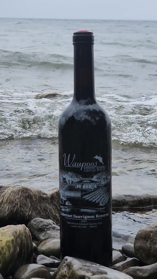 It’s giving… bold, rich & timeless. 🍷
Happy #InternationalCabernetSauvignonDay! Who else is celebrating with a glass (or two)?