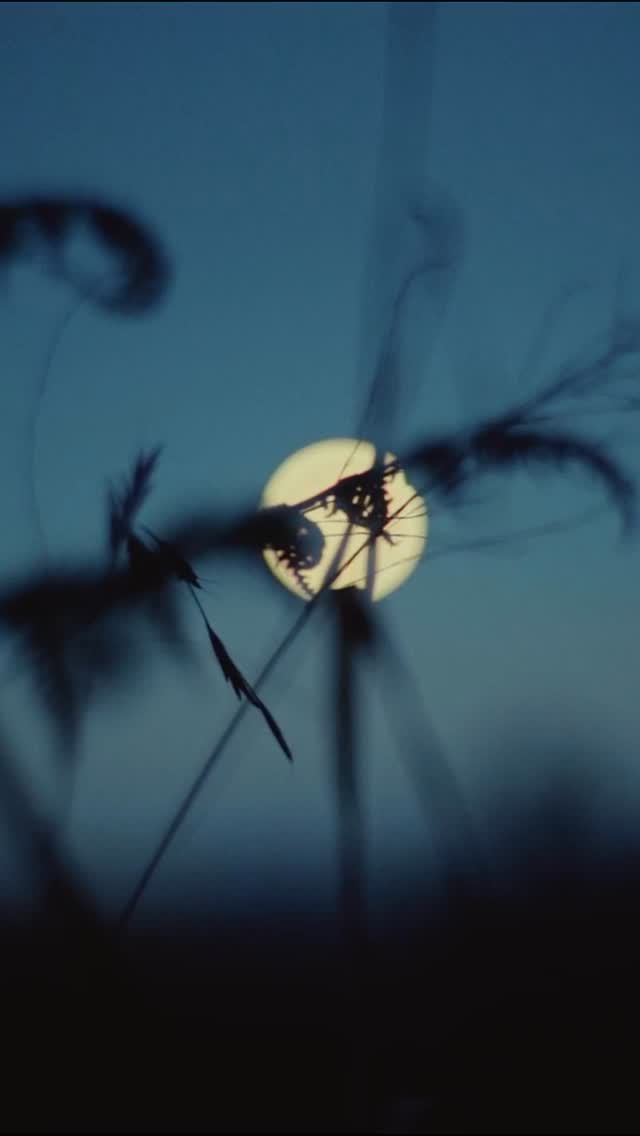 Constant mist, fast-changing light, and waterfall spray hitting the lens made shooting these moments a nightmare for focus
If the wind picks up, the spray follows. My mission is to find the story within that chaos, and I need to trust my camera to see through it, locking focus without the hunt. This is what intelligent focus feels like. The AI in the Sony Alpha 7R V doesn’t get confused by the moving elements; it punches right through the haze, finds my subject, and locks on with ease. That gives me the confidence to capture my shots quickly before the bad light hits, knowing the most critical part of the shot is captured and crisp.
#sonyalpha @sonyalpha #alphacollective