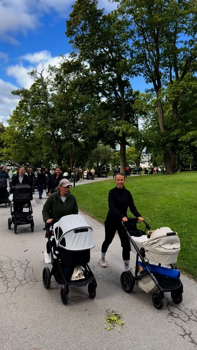 SNART RULLAR VI UT 💪🏽
Och idag har vi sällskap av Filippa från @the_bammies - en av våra mest uppskattade partners 💚
I studion hittar du hela deras blöjsortiment & wipes och nu har de även tamponger i deras sortiment 🩸 Så spännande!
Ses vi där?
🙌🏽 Träffa andra föräldralediga under den 5km långa promenaden med barnvagn när vi gör stopp för träning, rörlighet & pulshöjande övningar 💦
📅 Varje måndag kl. 10.00
📍Vi möts i korsningen Strandvägen/Djurgårdsbron
💪🏽 5km promenad med stopp för träning & rörlighet. Rör på dig mycket/mindre eller vila.
👟 Kom som du är, gärna i träningskläder som är sköna att röra sig i 🙌🏽
🏋️♀️ Promenaden leds av Benita, fysioterapeut & PT som tränat hundratals kvinnor under/efter graviditet. Driver träningsstudion @studioq.sthlm
💙Bäst av allt - det kostar inget!