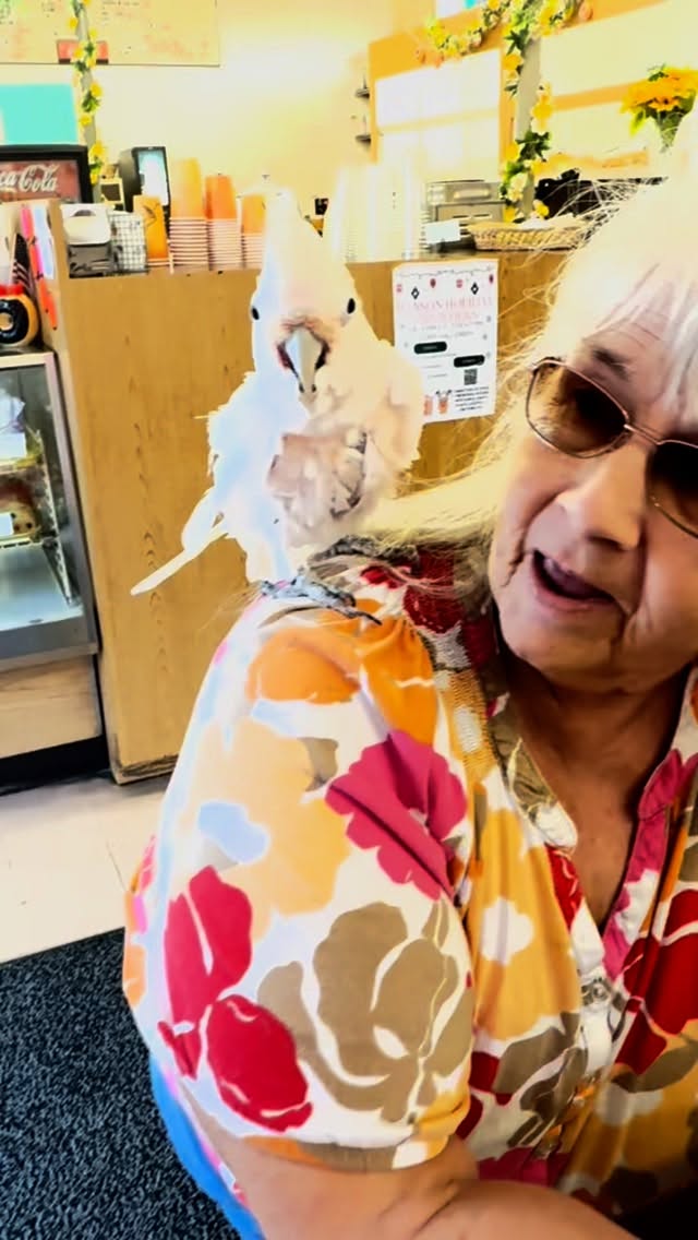 Greetings Earthlings! Especially animals! Make sure to send me more videos like this #roseannebarrpodcast