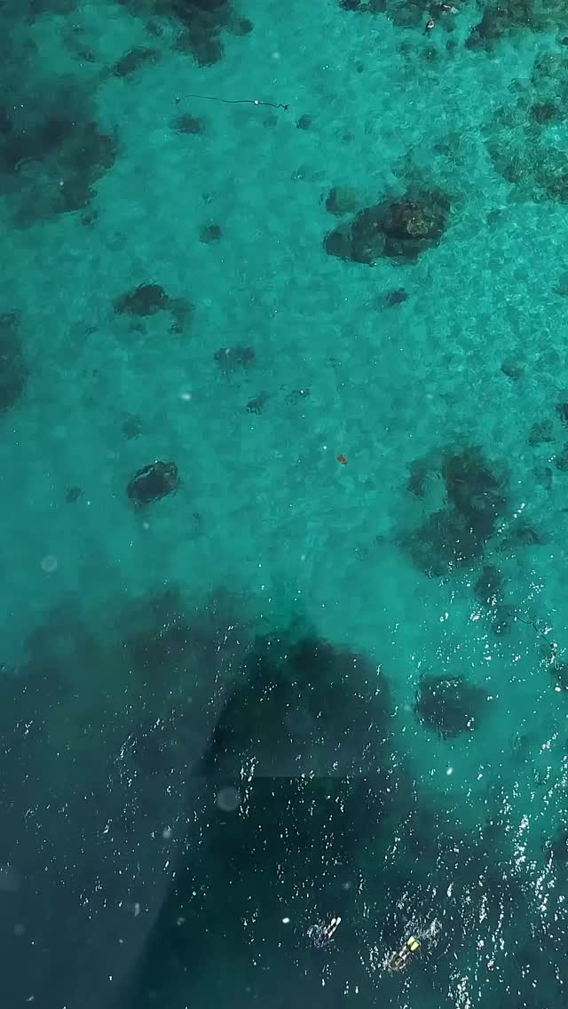 My new remix for “Blue Lagoon” by master @g_pantelidis.music is out now today on all major platforms! 😎
#dubaidj #musicproducer #musicproduction
@inkognitorecords