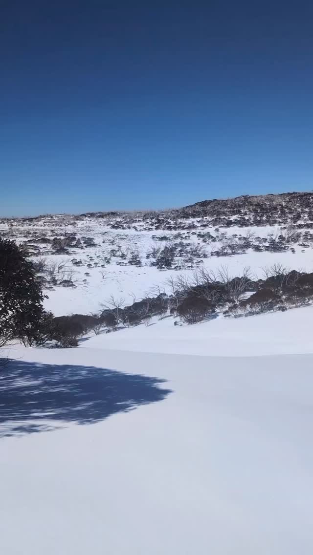 ❄️SNOW SESSIONS ARE BOOKING!❄️
Well beautiful ones, the snow season is soon going to be coming to an end and I for one am a little bit shattered about this! 😭
🌟But to celebrate what a bumper season we've had I'm offering Booking-fee free spots for photos in the snow!
🌨️Why not venture out and enjoy the incredible vistas of the Australian Alps and create some breathtaking portraits with your loves!
Your snow session will include:
🏔️ No session fee (valued at $300)
🌞 The stunning scenery of the Aussie High country
🦋 A bonus $100 printing credit you can use to create something spectacular for your home
🌹Spots are limited because the snow will only last so long! So DM me for more details!
See you on the slopes! ⛷️
✨
#SnowyMountainsLife #snowportraits #familyfun #familyportraitideas #funfamilyportraits #coomafamilyphotographer #australianalps #aussiealps #canberrafamilyphotographer #australianfamilyphotographer #katiephillipsphotography