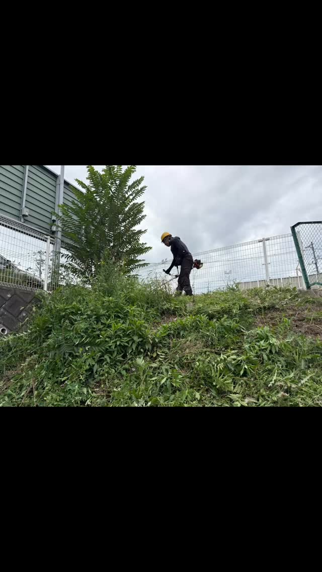 #蓮 #レインボーハス園 #遺品整理弘光 #生出 #草刈り#生前整理 #盛岡市 #八幡平市 #残置物撤去