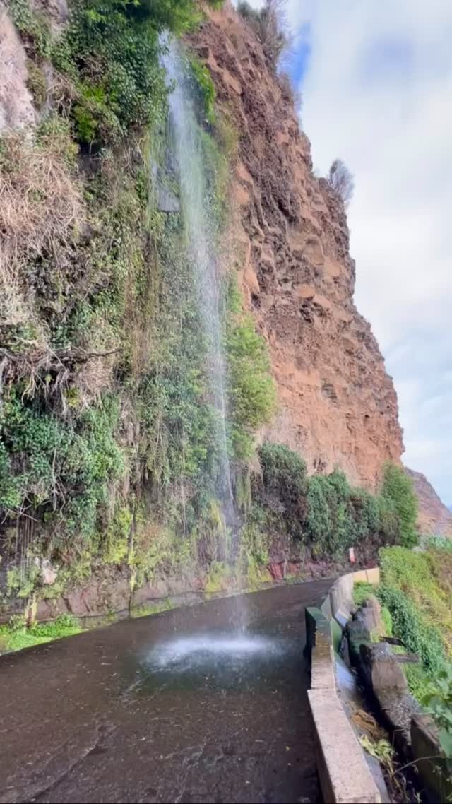 Soaking up the negative ions at Cascata dos Anjos (the Cascade of Angels). Every time we return to Madeira, we make a point of walking beneath (or even driving under) this magical waterfall near Ponta Do Sol. Once, many falls like this lined the old island roads, but time and erosion have claimed most. This one still flows, a reminder of Madeira’s untamed beauty and the timeless dance between water, rock, and sky. The entire island is full of waterfalls inland and along the coast, but today few can be accessed as easily as this one.
#madeiraisland #pontadosol #waterfalls #islandlife #mothernature #negativeions #purification