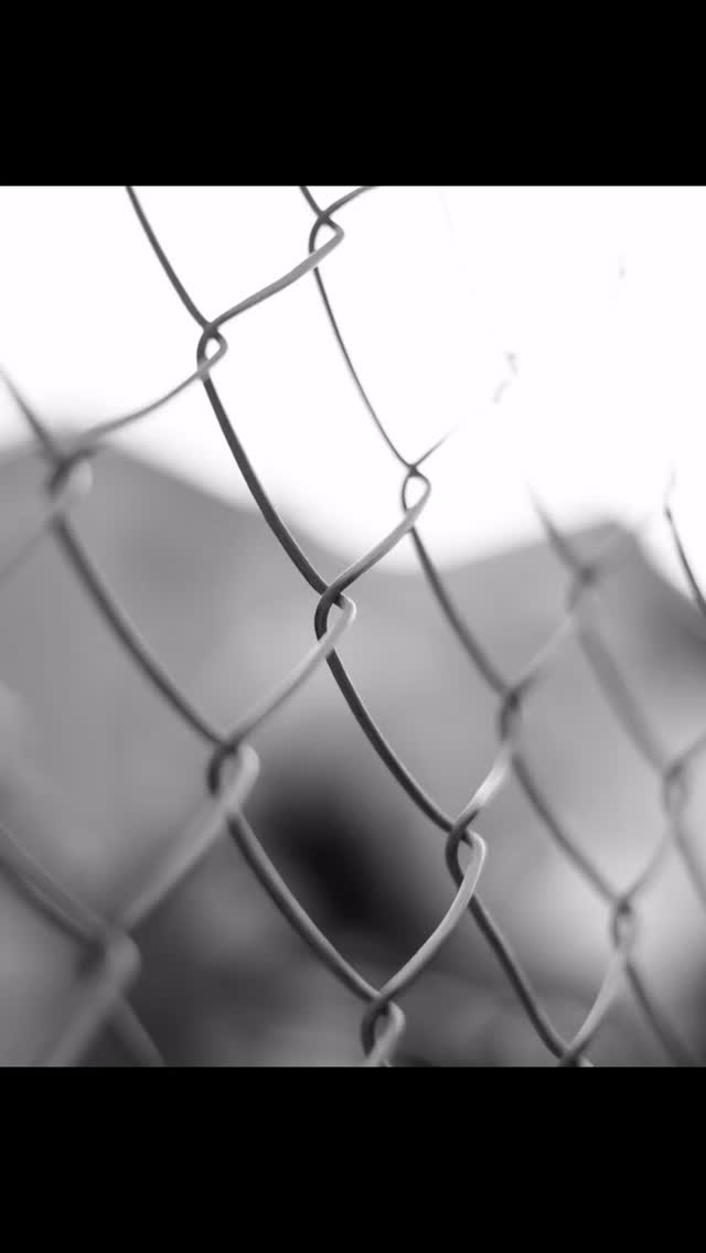 🔮 Tattoo-Mythen, die einfach nicht sterben wollen! 🔮
„Tattoos vergiften das Blut!“ ❌
„Im MRT brennt deine Haut!“ ❌
„Weiße Tinte leuchtet im Dunkeln!“ ❌
👉 Wir klären die größten Irrtümer auf und zeigen dir, was wirklich stimmt.
Denn Tattoos sind längst mehr als nur Hautschmuck – sie sind Kunst, Kultur und Persönlichkeit. 🖤
💭 Welchen Tattoo-Mythos hast DU schon mal gehört? Schreib’s in die Kommentare! 👇
#TattooMythen #TattooFacts #TattooLovers #TattooArt #TattooStudio #InkedLife #TattooCommunity #TattooCulture #BodyArt #TattooGermany