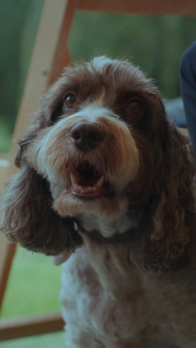 Emily ❤️ Adam
@emilyjenkin & @twig_cobb
@chycaraweddings
@theweddingdaycoordinator
#cornishwedding #chycara