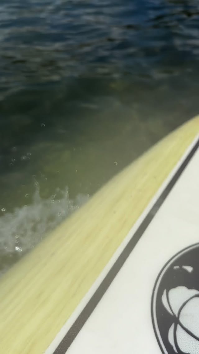 Surfing into this new program year with so much diversity and wonder!
At Pono Outdoor Program, our unschooling perspective lets keiki soar higher than the clouds—because real learning happens when life itself becomes the curriculum.
This first month has been full of growth and adventure. We learned chicken-to-table practices at Simple Roots Farm, hiked through water caves, built and tended controlled fires, sharpened knife skills, felt the pressure of basket making, and grounded ourselves with the soil beneath our toes.
Every experience strengthens life skills, resilience, and connection to the ʻāina.
Our vision is simple yet powerful: to connect our keiki deeply with the world around them, to nurture curiosity, and to allow nature to be the greatest teacher. And this is only the beginning—just one month in, and the lessons already run deep.
✨ We have a few spaces open for ages 6–16. If you’re looking for an education that goes beyond worksheets and into the heart of life itself, message us at ponooutdoorprogram@gmail.com to join our ʻohana.
#ponooutdoorprogram #unschoolinginnature #lifeisthecurriculum #OutdoorEducation #BarefootLearning #keikiandʻāina