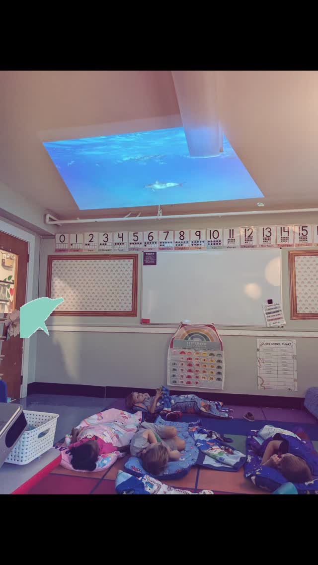 Special rest time Fridays of watching dolphins swimming on the ceiling 🐬 #preschoolactivities #veritasatelmwood