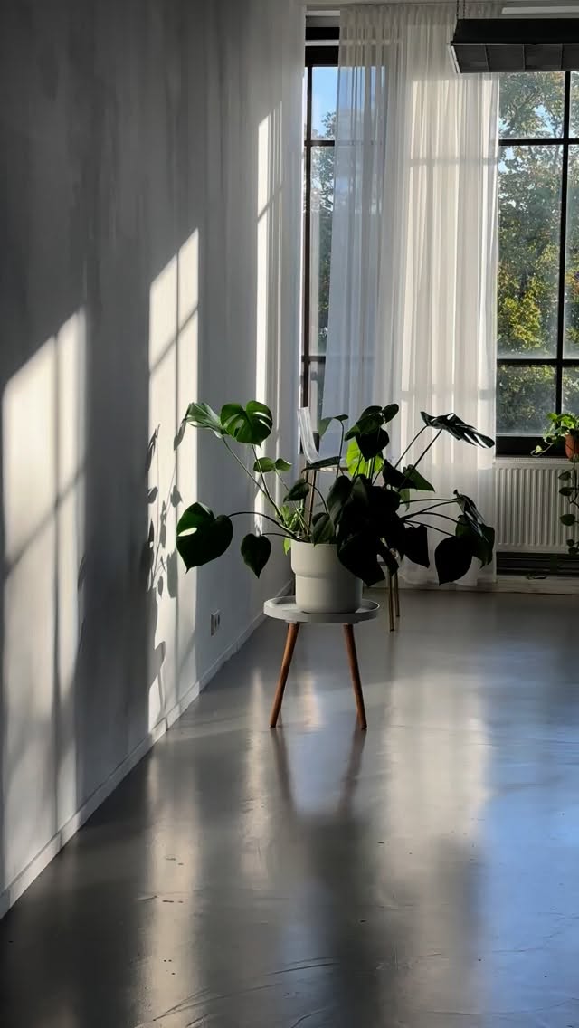 ✨ STUDIO UPDATE ✨
We’ve been busy behind the scenes, and we’ve got some exciting updates for our daylight studio in Amsterdam:
☀️ Fresh new props + setups
🗓️ Updated availability for the coming month
📸 More flexible booking options (half-days now open!)
🌿 A few aesthetic upgrades you’ll love
Whether you’re shooting content, hosting a small event, or just need a beautiful space filled with natural light — we’ve got you.
🎯 Now booking for September.
Tap the link in bio or shoot us a DM to lock in your time.
Thanks to everyone who’s brought their creativity into the space — we can’t wait to welcome more of you in soon.
#StudioUpdate #DaylightStudio #CreativeSpace #NaturalLightStudio #PhotoStudioRental #studiolife #pantherstudios #amsterdamphotographer #fotoshoot #daylightstudio #daglichtstudio #daglichtstudioshoot #daglichtstudiohuren #daglichtstudioamsterdam #daglicht #daglichtfotografie #daglichtfotograaf #daglichtportret #daglichtfotostudio #daylightstudio #daylightphotography