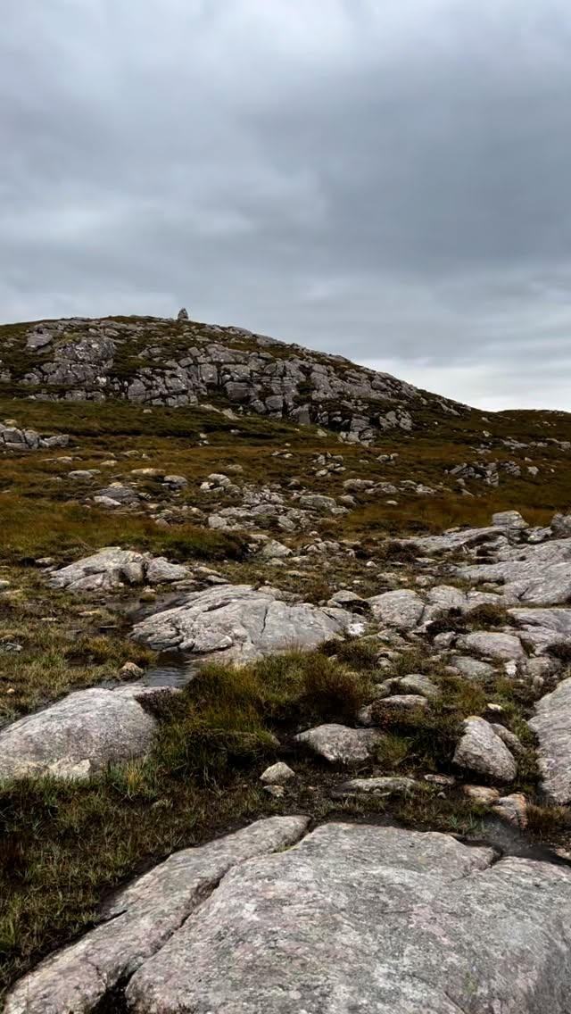 Gifts from the croft:
Eriskay ponies
Geese
Gannet
Heron
Scabious
Clinker
#placebased #crofting #nature #september