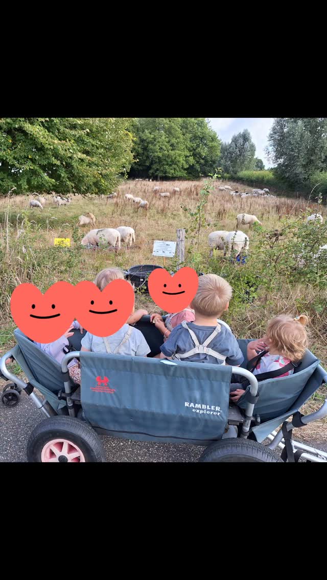 Met z'n allen aan de wandel ☀️ #natuur #buiten