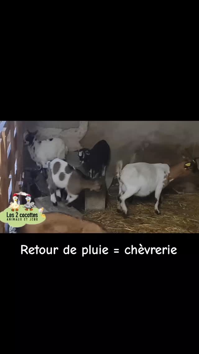 #fermeles2cocottes #fermepedagogique #ain #bourgogne #chambredagriculturedelain