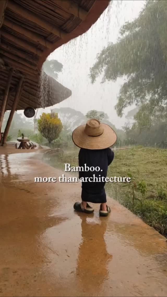 This initial experience shaped everything...
Sleeping without walls, living so close to wild nature, it influenced the kind of architecture we dreamed of creating: homes that blur the boundary between indoors and outdoors, spaces that breathe with the rainforest...
.
When we first arrived to this valley, the land of Sergio’s grandfather, there were no neighbours or buildings, only open fields left bare from cattle (and some primary forest too!). We set up camp in tree tents and a makeshift kitchen for the first few years.
.
What started as survival slowly became a lifestyle of rewilding. Now, bamboo is not only the material we build with, but the pathway into a way of life, rooted in family, community, and a village growing from the forest floor.
.
This is bamboo.
More than architecture.
.
#bamboo #bambooarchitecture #camplife #rainforestlife #ecobuilding #architects #designwithnature #liveinnature #keepitwild