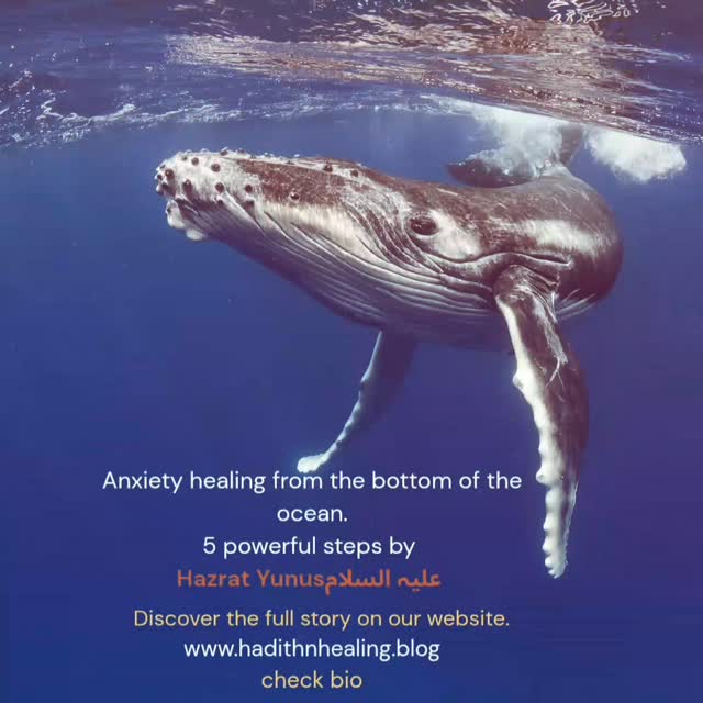 Something no one has told you .
You'll be amazed reading this!
The Miracle of Prophet Yunus (AS): The Quran's Solution to Anxiety & Worry
Are you trapped in life's stormy ocean?
Is the whale of stress about to swallow you?
Imagine: In the deepest, darkest part of the sea a moving grave. This isn’t a horror story. This is the incredible miracle of Prophet Yunus (AS), who was swallowed by a whale. Total darkness. Complete loneliness. No way out. A place where all hope seemed lost.
But then what happened?
Check Bio | Visit Website
Hashtags:
#AnxietyRelief #IslamicRemedy #ProphetYunus #PowerOfDua #MentalPeace #QuranicHealing #TrustInAllah #SpiritualJourney #IslamicContent #SoulPeace