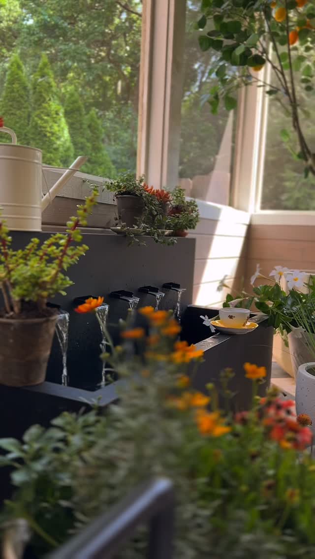 Slow Sunday Morning ☕️