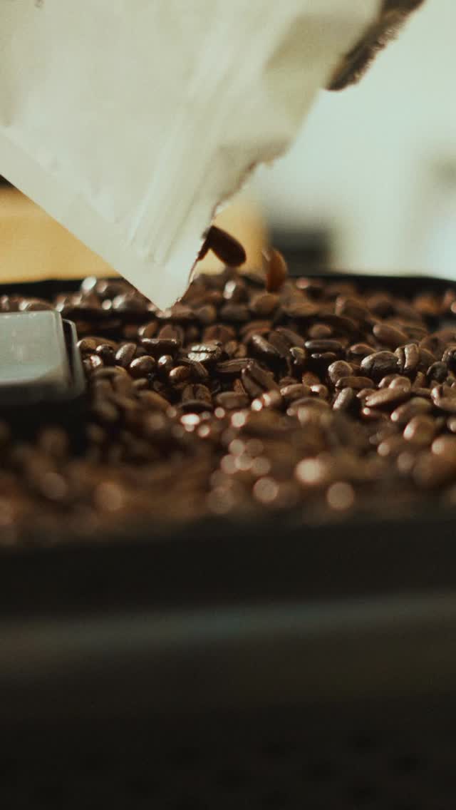 Imagínense cuantas tazas de café se disfrutan durante el proceso de diseño arquitectónico.
Aquí les compartimos algunos proyectos en proceso en el taller.
Conoce más de nosotros en:
taller@desnivel.mx
📲 (999) 839 69 28
www.desnivel.mx