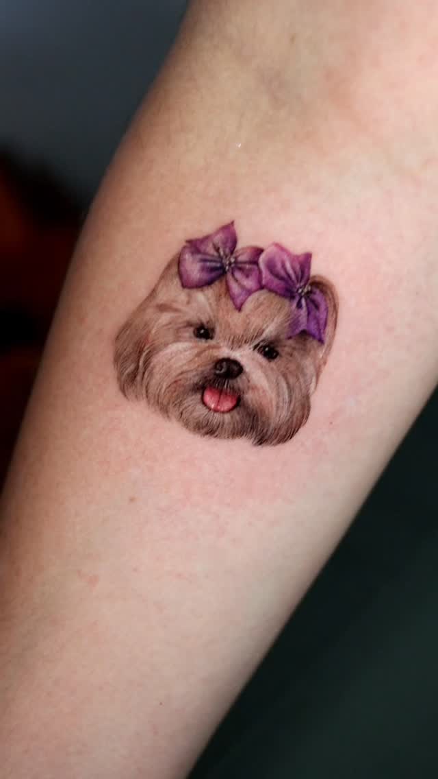 Full color micro realism dog portrait tattoo by guest artist @wontattoos @tattooist_won
Oakland California bay area
.
.
.
.
.
#microrealism
#microrealismtattoo #dogportraits #dogtattoos #dogtattooportrait #oaklandtattoo #oaklandtattoos #oaklandtattooartist #sftattoo #sftattoos #sftattooartist #berkleytattoo #bayareatattoo #bayareatattoos #bayareatattooartist #sacramentotattoos #losangelestattoo #californiatattoo