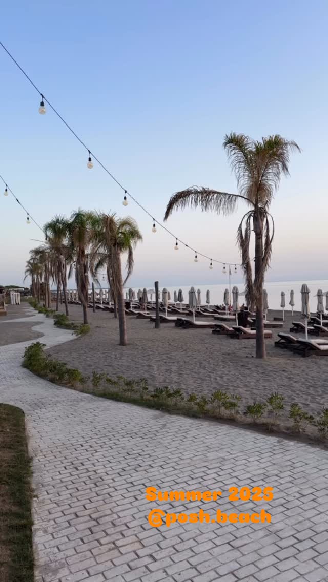 🌅