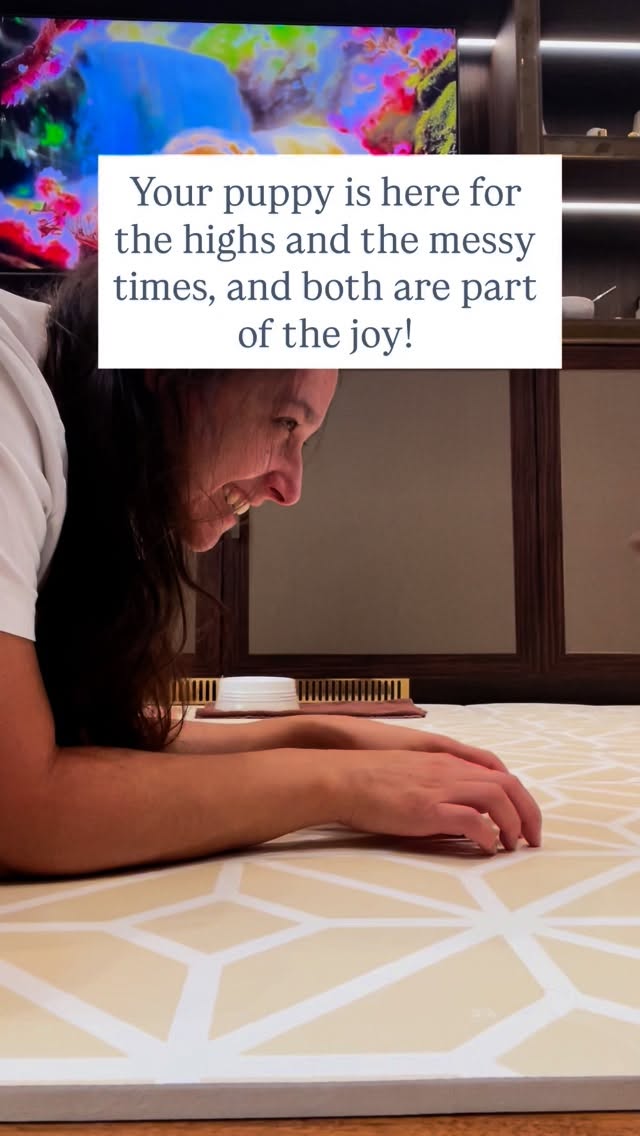 Remember your puppy is here for the highs and the messy times… and both are part of the joy.
Puppyhood comes with sleepless nights, chewed shoes, and potty accidents… but it also brings cuddles, laughter, and unconditional love. 💛
When you work with me, I help you handle the messy moments with confidence so you can actually enjoy all the best parts of raising your pup.
Ready to trade overwhelm for peace of mind? Comment “Puppy” and let’s make this chapter the best one yet. 🐶
#PuppyTrainingTips #LondonDogTrainer #NewPuppyLife #PuppyParents #DogTrainingMadeEasy #HappyPupHappyLife #DogTrainerLondon