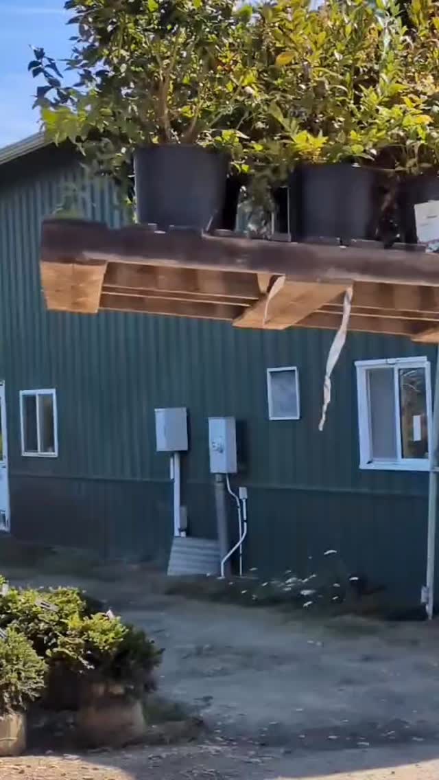 Concepts that have been long-discussed are taking shape on Willow Street. It is pretty exciting to be bringing to life a community fruit and berry forest at Mill City Park! We couldn’t have done it without the collaborative efforts of Millican Nursery, Black Forest Nursery, Beck and Bellucci and our loyal community volunteers and board members! It’s impossible to express the magnitude of our gratitude. ❤️
We’ve only just begun! 🍎🫐#thankyou #fruit #smallcitybigthings