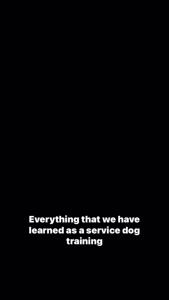 Wait for it… the slo-mo puppy run at the end will melt your heart. 🧡🐶
Our Train Your Own (TYO) program is now open! Start your journey with a FREE Application Orientation offered the second SUNDAY of each month at 11am PST — RSVP today through the link in bio.