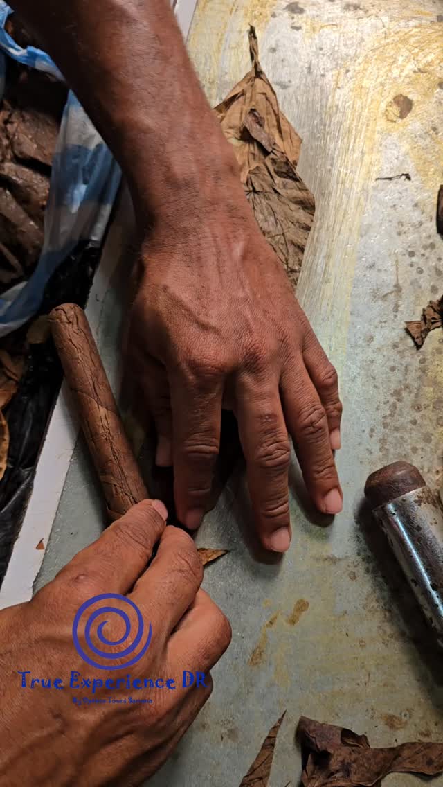 Durant votre visite à Samana, découvrez les secrets de la combination du rhum et des cigares dominicains faits a Samana.
While you visit Samana, discover the secret of the ron and cigar pairing, cigars made in Samana.
#runandcigars #Samana #LasTerrenas #dominicanrepublic #IGReels #aircaraibes