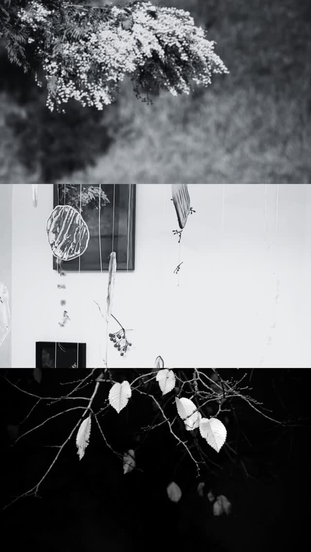 Kate Gorringe-Smith & Sharon Crabb
Birrarung River Celebration
August 27 - September 2025
Glimpse Art Space
Kate Gorringe-Smith and Sharon Crabb present a collaborative exhibition at Glimpse Art Space to coincide with Birrarung Riverfest, exploring the confluence of the Merri Creek and Yarra/Birrarung. Through printmaking, photography, video, and sound, their works reflect on the interconnectedness of waterways, migration, and transience. Layered compositions incorporate fabric, glass, and three-dimensional elements that shift with light and movement, evoking the river’s flow. Unframed and suspended pieces create an immersive experience, complemented by a QR-linked soundscape. This exhibition invites reflection on the dynamic relationship between nature and urban life, celebrating the river’s ever-changing presence within the landscape. #glimpseartspace #northcoterise @glimpseartspace @kategorringesmith @_sharoncpixels_