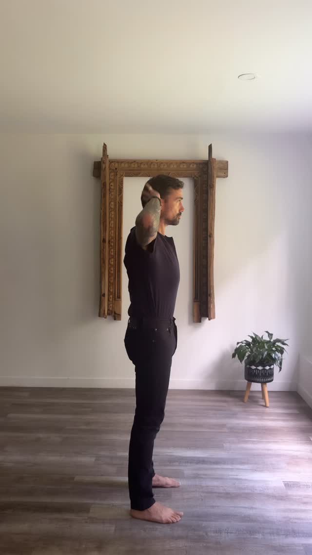 Les épaules et les hanches sont deux zones clés, quand elles sont mobiles ton corps gagne en liberté de mouvements.
Accessible (option 01) ou plus avancée (option 02), choisis ta variation et fais-en une habitude.
La mobilité, c’est un vrai signe de santé!