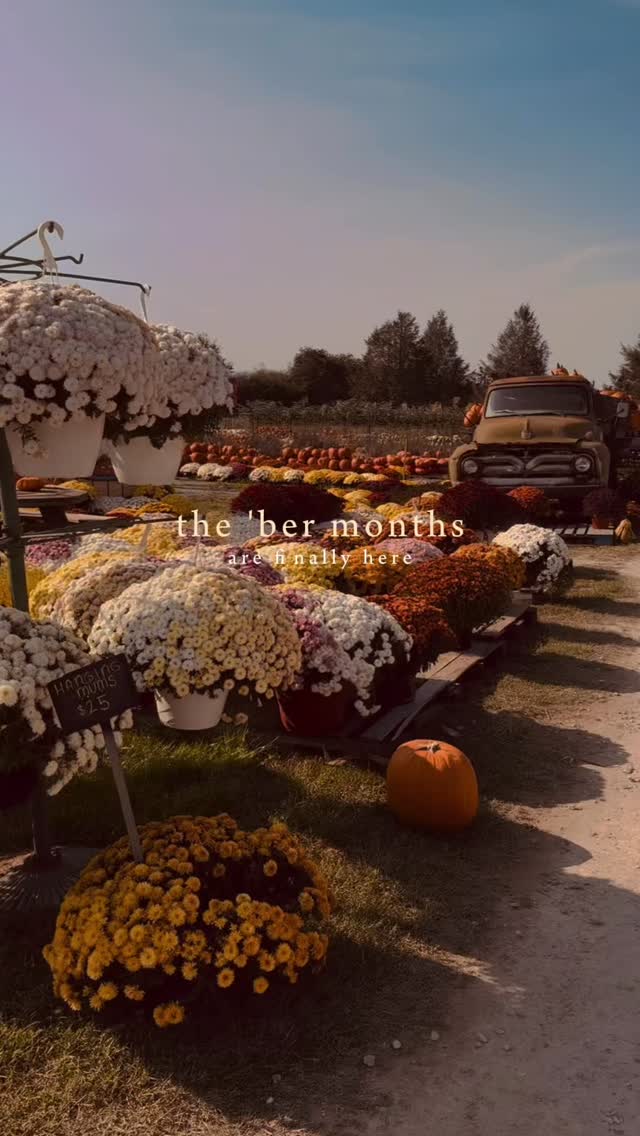 It’s officially BER month season—aka the coziest time of year 🍂✨ From pumpkins and mums to cider and crisp mornings, fall is calling! Start your weekend at the
📍Chestertown Farmer’s Market on Saturdays, swing by
📍Lockbriar Farms for the ultimate fall haul (and ice cream, obviously), then wrap it up at the📍Centreville Farmer’s Market on Sundays. Local goodies, small-town charm, and all the autumn vibes—who’s ready?
@chestertownfarmersmarket
@centrevillefarmersmkt
@lockbriarfarms
#moreontheshore #easternshorelife #easternshoremd #marylandeasternshore #marylandblogger #fallseason #farmersmarkets