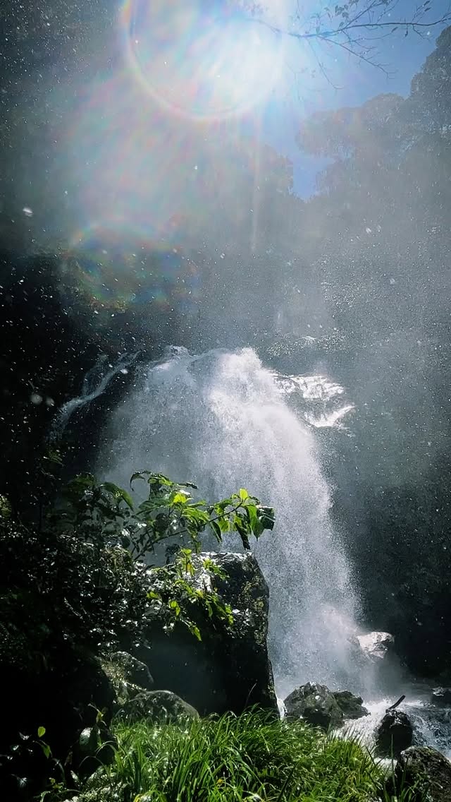 A journey of the spirit, ever unfolding.
#okinawa #life #returntoself
#holisticwellness #369meteor
#okinawaprivatespa #naturephotography