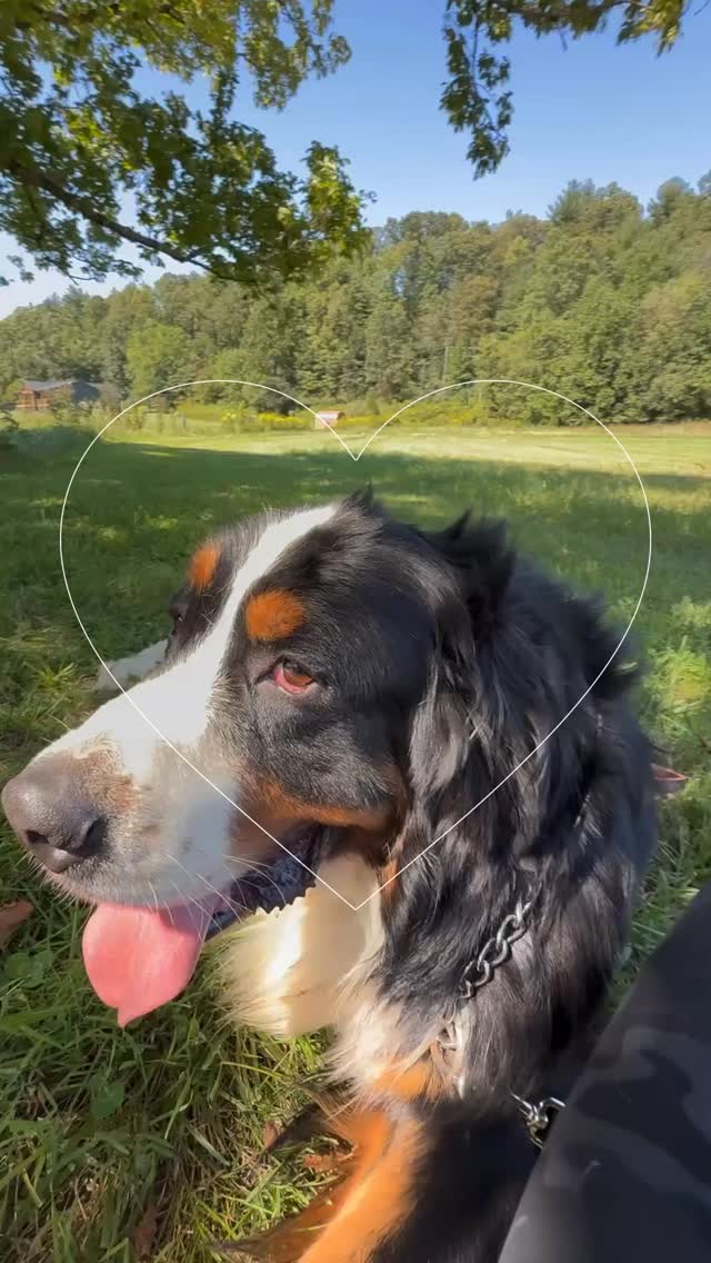 Dexter ❤️’s September!