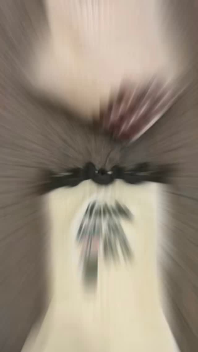 Packing your orders ❤️
#pilates #fitness #barre #reformerpilates #pilatesinstructor #yoga #pilateslovers #gripsocks #pilatesreformer #pilatesandlattes