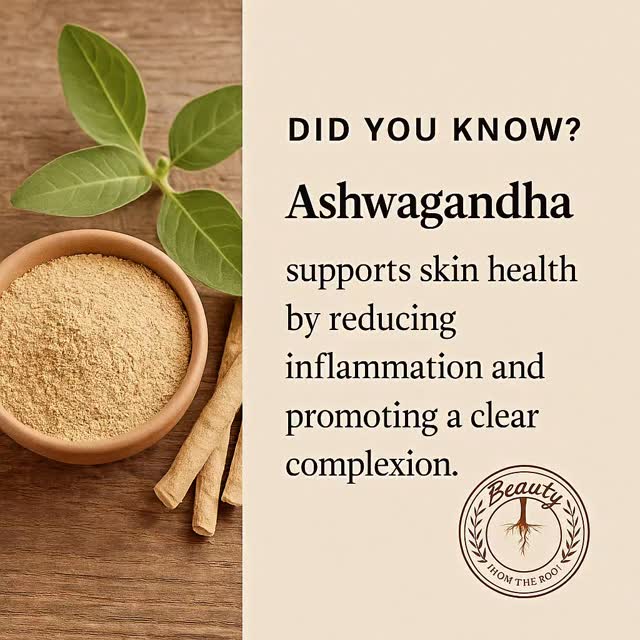 ✨ Did You Know? ✨
According to Ayurvedic wisdom, true beauty begins with balance—inside and out. One of Ayurveda’s most treasured herbs, Ashwagandha, is known not only for calming the mind but also for nurturing the skin. 🍁
This ancient root supports skin health by:
💧 Reducing inflammation
🌸 Promoting a clear, radiant complexion
🛡️ Protecting against free radical damage
🌟 Encouraging youthful vitality
At Beauty from the Root, we carry forward these Ayurvedic traditions—infusing ancient plant knowledge into modern self-care, so you can glow naturally and live sustainably.
💌 Save this tip as part of your daily ritual & share with someone who loves holistic beauty!
#Ayurveda #AyurvedicWisdom #Ashwagandha #HolisticSkinCare #GlowNaturally #BeautyFromTheRoot #vegan #plantbased