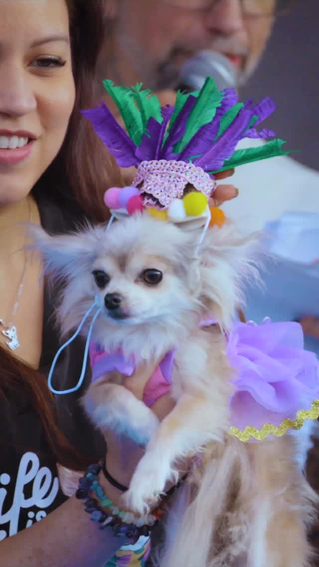 This weekend we attended the @njtacofestival to devour some incredible tacos while taking in a wrestling match from @wearewrestlepro and witnessing the cutest Chihuahua Beauty Pageant we’ve ever seen…come to think of it, it’s the only Chihuahua Beauty Pageant we’ve ever seen. 🤗🌮🐾 Thanks also to our new friends for an incredible day @pudgys_fries @grimdelightsli @pretzelized and all the other fellow vendors #honey #olstiles #foodie #tacotruck #tacos #wrestling #prowrestlingphotography #chihuahualife