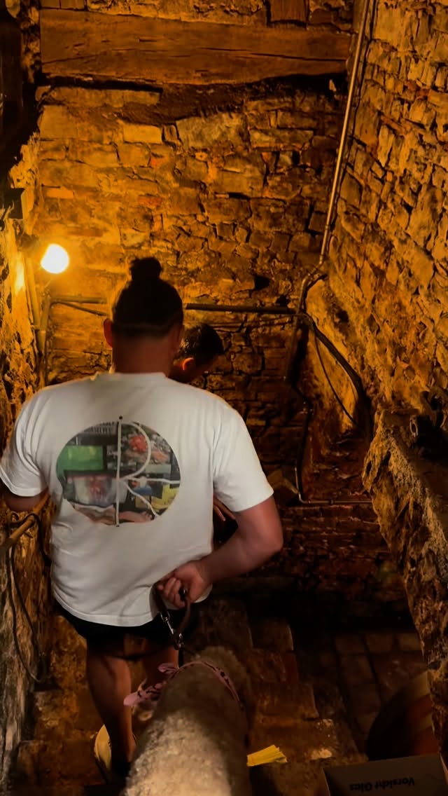 ✨ Die Ruhe vor dem Sturm ✨
Bevor sich im Blauen Hasen bald die Türen öffnen, haben wir uns letzte Woche noch ein paar Tage Auszeit im schönen Franken gegönnt. 🍷🌳
Ein Moment zum Durchatmen, Kraft tanken und Inspiration sammeln – bevor das Abenteuer richtig losgeht. 💙🐇
@weingutmay
@weingut.max.mueller
@weingutrainersauer
@schwane_romantikhotel_weingut
#blauerhase #ruhevordemsturm #frankenliebe #neuanfang #restaurantopening
—> STAY TUNED