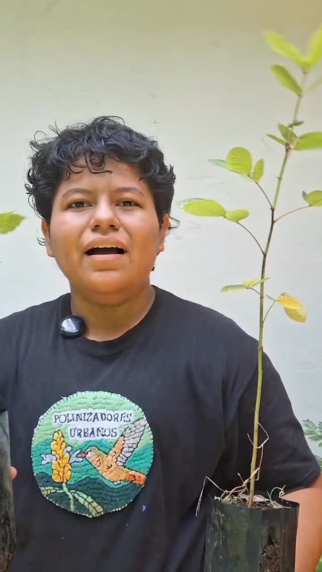 Hoy te queremos contar que es el Corredor Biológico: Ts'unu #ClimatonUNAM2025