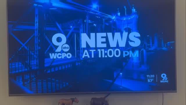 WCPO Channel 9 News coverage of the Gloves Up, Guns Down youth boxing and anti-violence clinic at Cincinnati Fitness & Boxing.