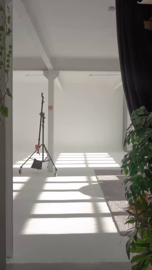 Sharing because this light is just 🤩 #naturallight #studio #photography