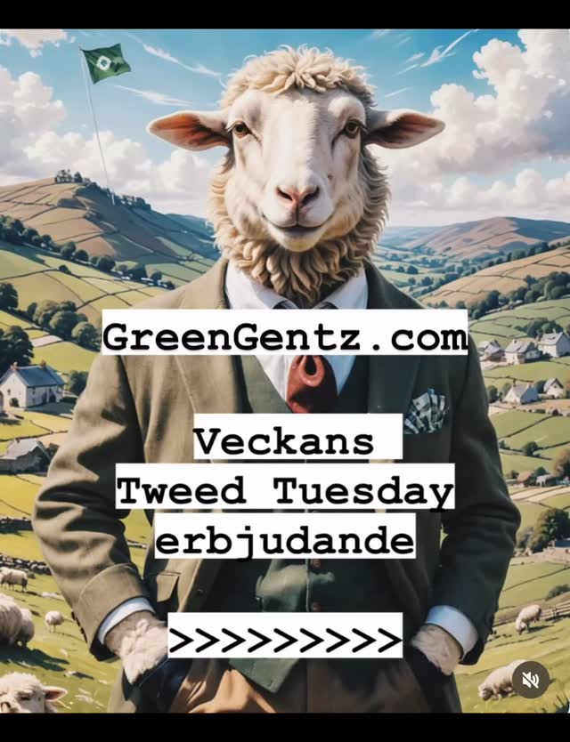 GreenGentz.com Tweed Tuesday erbjudande! 25% rabatt på en exclusive tweed kavaj, denna vecka en Donegal Tweed - Wellington Excecutive☀️
Upptäck elegans och hållbarhet med vår preloved Wellington Executive-kavaj i grå och vit spräcklig Donegal tweed. Den här unika skapelsen har patch pockets med skärning och detaljerade insnitt vid axelpartiet, samt en dubbel slits vid ryggslutet för extra komfort. De fina läderknapparna och de intrikata färgplupparna, som är typiska för Donegal tweed, ger en sofistikerad touch. På Green Gentz omfamnar vi hållbar mode och återupplivar stil, ett tweedplagg i taget. 100% ull.
Välkommen in till GreenGentz.com.
#tweedtuesday #tweed #preloved #secondhand #menswear #göteborg #stockholm #sverige #herrmode